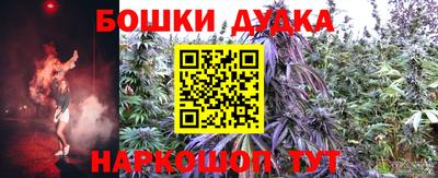 прущие крисы Донецк