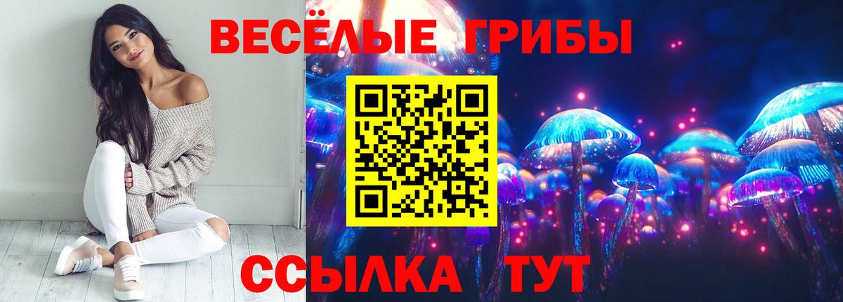 Галлюциногенные грибы Psilocybe  Вход с VPN  Заречный  Псилоцибиновые грибы Magic Shrooms 