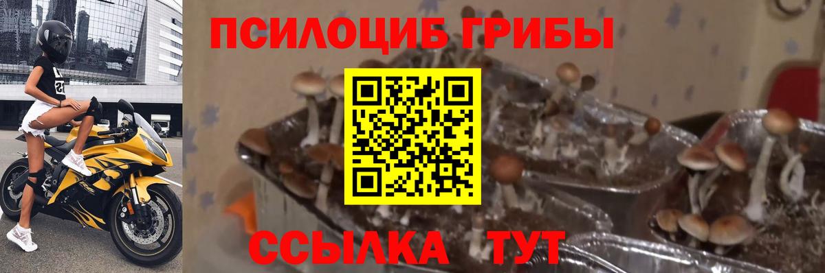Меф мяу мяу Заречный